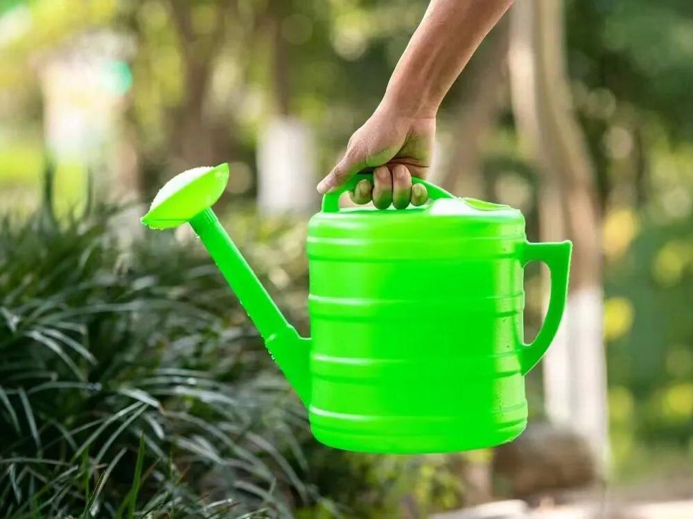 Konewka BLACK FOREST 1600 Zielony 10L, UV, mróz, kolor, tworzywo, Ręka trzyma zieloną konewkę przy krzewach.
