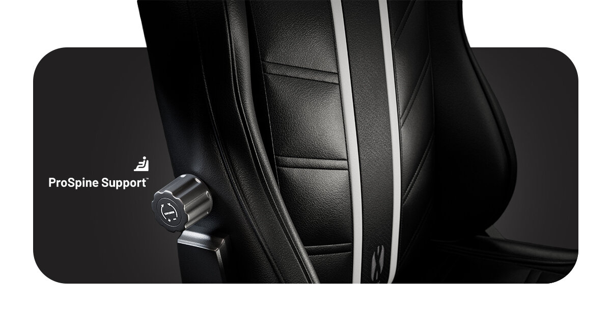 DIABLO CHAIRS X-Ray 2.0 ProSpine Support™ dolnej części pleców poduszka lędźwiowa Magnetyczny zagłówek górę kręgosłupa i stabilizuje szyję Zagłówek magnes - zblizenie na funkcję prospine support