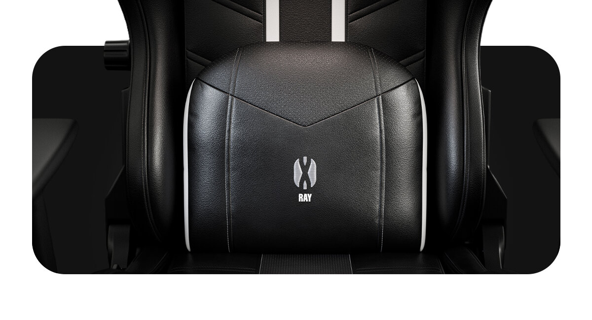 DIABLO CHAIRS X-Ray 2.0 elegancki styl - poduszka lędźwiowa wyrazisty wygląd Czarno-biały Głęboką czerń białe akcenty