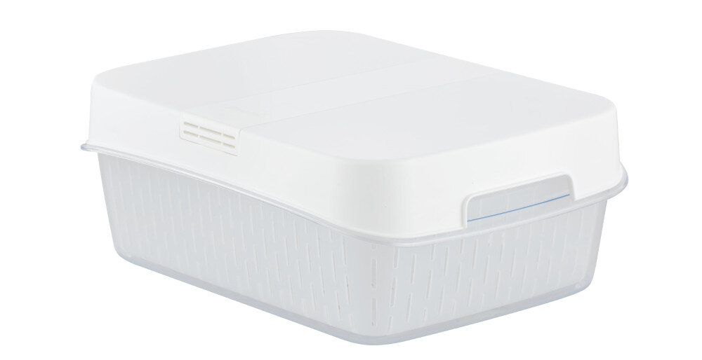 Organizer do lodówki CARE+PROTECT CFSCC4064 produkt Organizer 1 sztuka 6,4 l