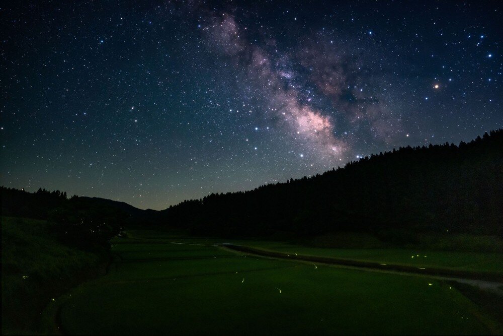 Obiektyw SIGMA A 20 mm f-1.4 DG DN jasna przysłona F1.4 zdjęcia nocne astrofotografia