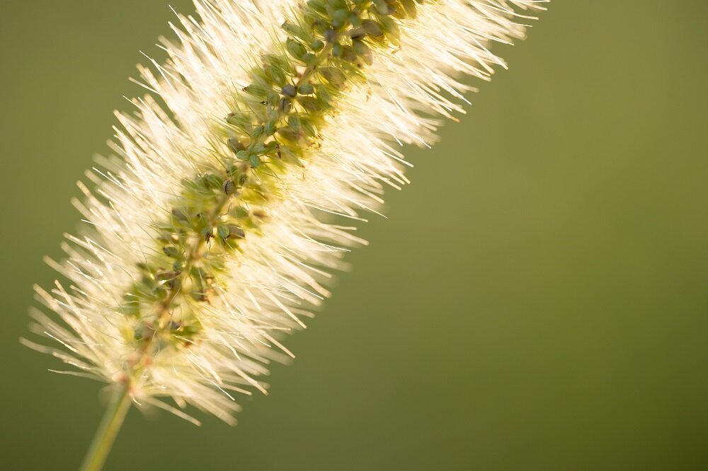 Obiektyw SIGMA A 105 mm f-2.8 DG DN macro uszczelniona konstrukcja odporność na kurz zachlapania powłoki hydrofobowe