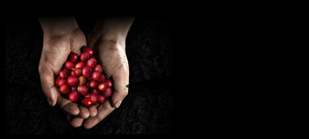Ekspres DELONGHI Nespresso Inissia EN80.B ekologia fair trade emisja co2