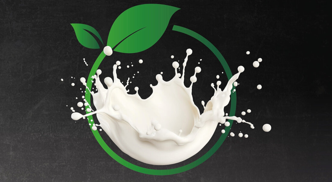 Spieniacz CASO CappuLatte 1661 Spienianie każdego mleka  z mleka krowiego i roślinnego owsianego, sojowego lub migdałowego dopasowanie napój dieta preferencje