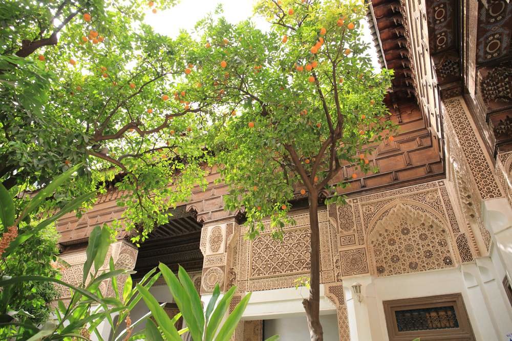 Obiektyw CANON EF 24-70 mm f/4.0L IS USM ostrosc autofocus 