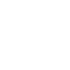 NIEWIELKA WAGA