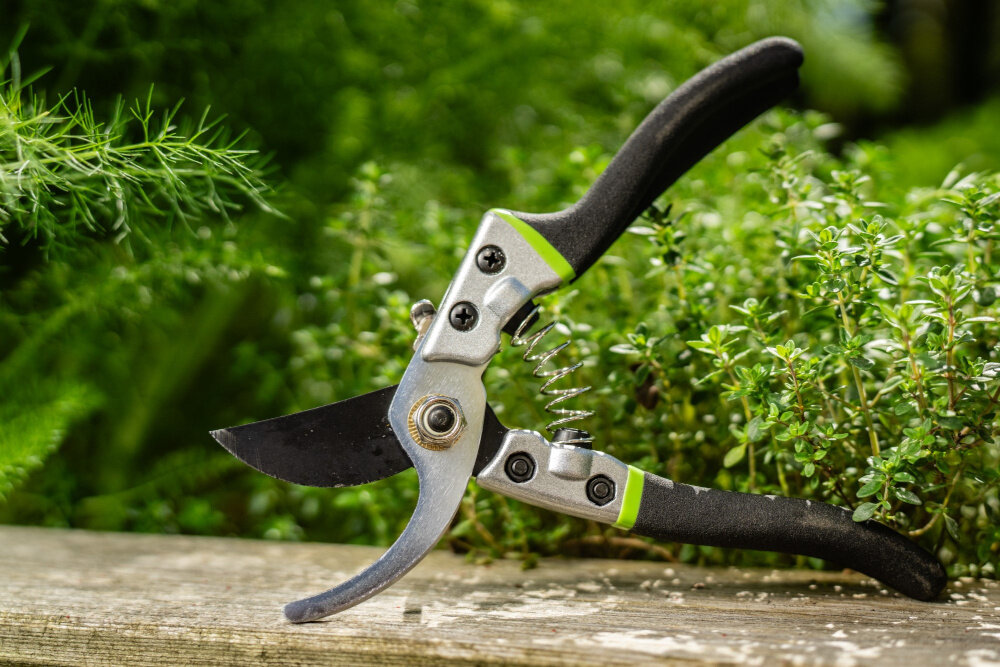 Sekator ręczny STALCO GARDEN S104010406 ogród drewniana półka sekator leży na półce w tle zielone rośliny powłoka teflonowa zmniejsza tarcie podczas pracy zapobiega przywieraniu soków oraz resztek roślinnych do ostrza opór przy cięciu jest mniejszy płynniejszy ruch i większy komfort użytkowania ogranicza ryzyko korozji