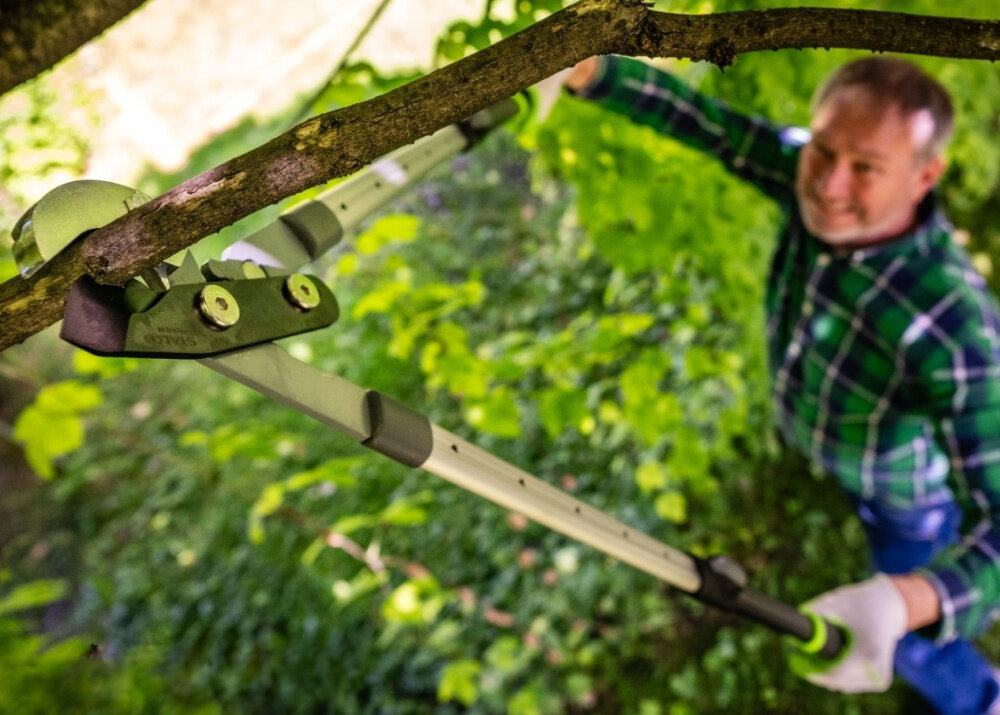 Sekator do gałęzi STALCO GARDEN S104020415 ogród widok z gór osoba przycina gałęzie na drzewie precyzyjne cięcie gałęzi pielęgnacja roślin zadbany ogród