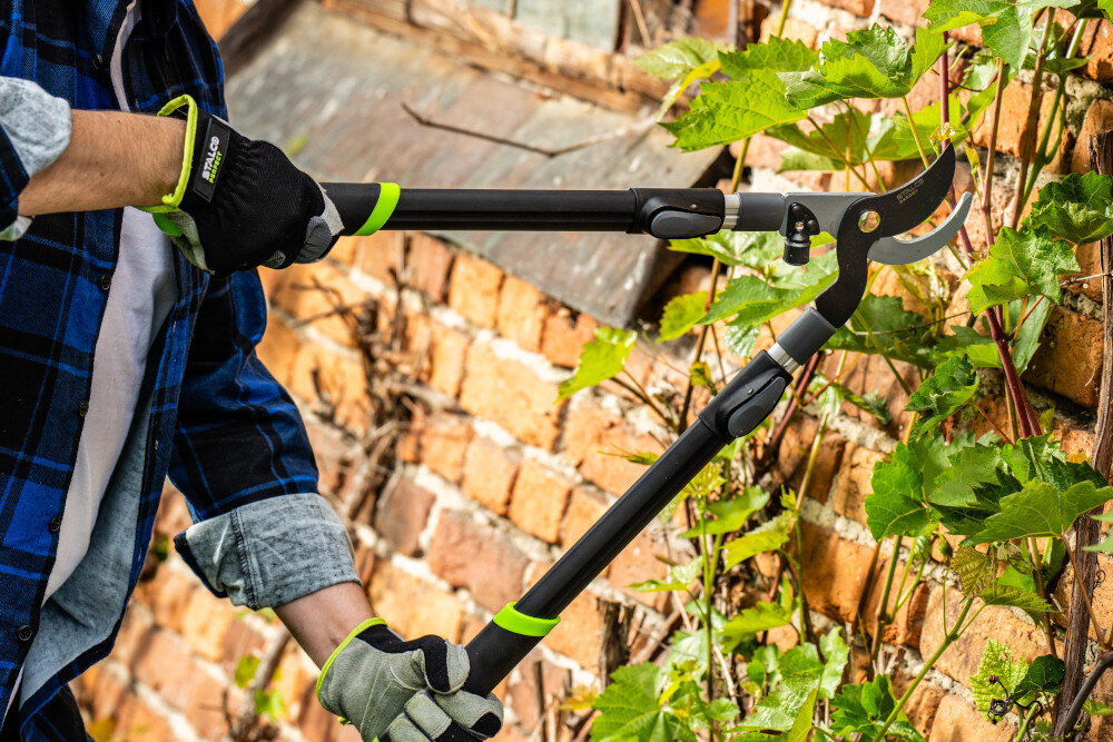 Sekator do gałęzi STALCO GARDEN S104020415 ogród osoba przycina winorośl w tle ściana z czerwonej cegły mechanizm mijający działa jak nożyczki dokładne przycinanie młodych pędów bez uszkadzania ich struktury chroni rośliny przed zgnieceniem i przyspiesza proces gojenia ran po cięciu zdrowszy wzrost i lepsze kwitnienie