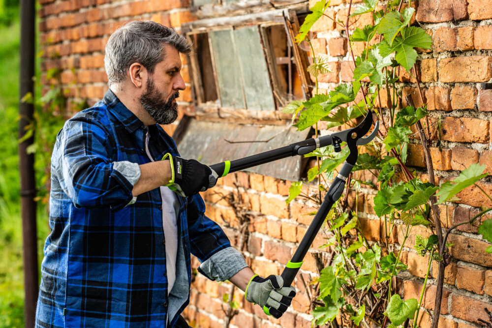 Sekator do gałęzi STALCO GARDEN S104020415 ogród osoba przycina winorośl w ogrodzie ściana z czerwonej cegły przemyślana budowa odpowiednie wyważenie długi uchwyt zwiększa siłę cięcia sprawna organizacja prac ogrodowych