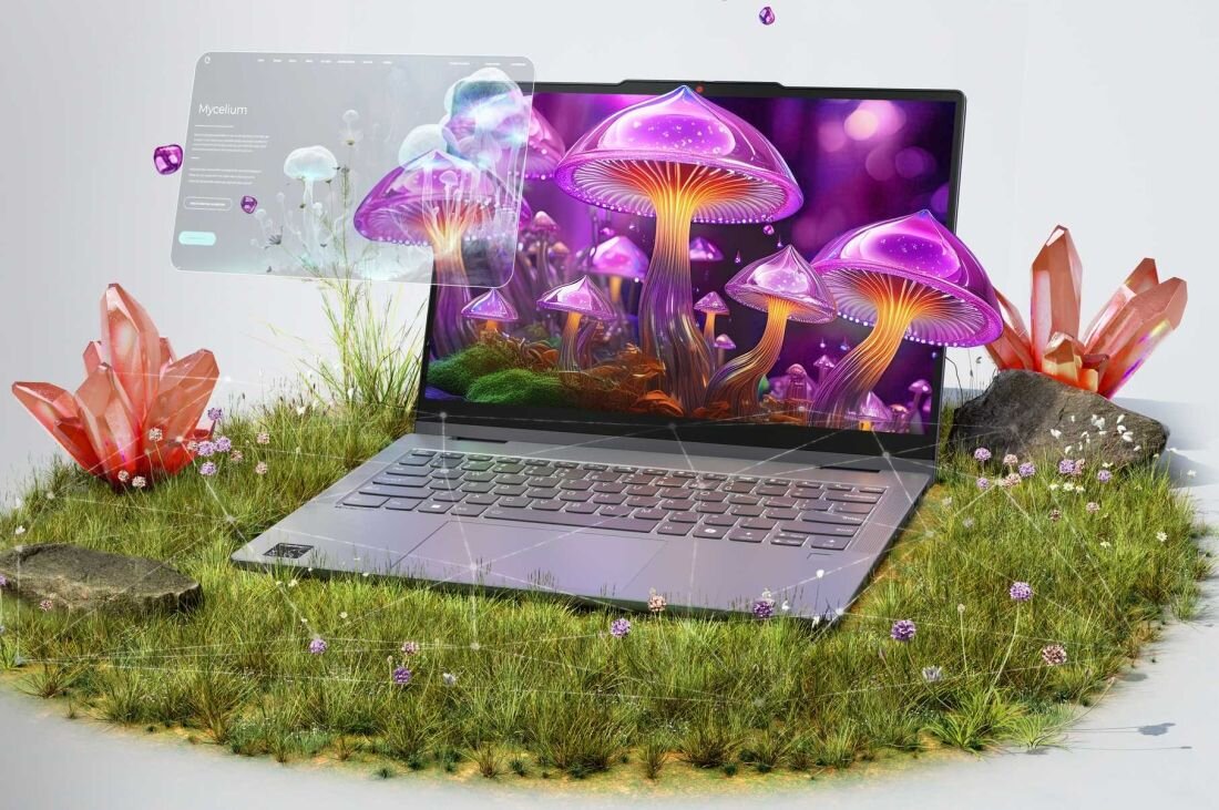 Laptop LENOVO IdeaPad 5 z grzybami na obudowie, umieszczony w zielonym polu. - 14-calowy wyświetlacz WUXGA