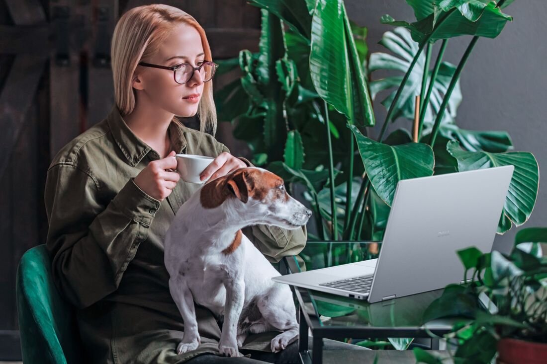 Kobieta w okularach siedzi z psem przed laptopem, skupiona na pracy lub przeglądaniu internetu.  - aplikacja MyDell 