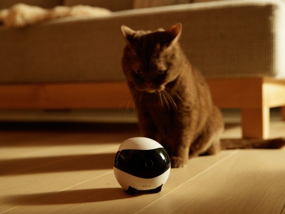 Inteligentny robot towarzyszący ENABOT EBO SE
            robot obok kota kamera dom zwierzę technologia gadżet