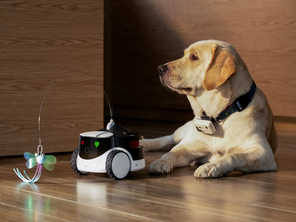Moduł do zabawy Enabot ROLA PetPal
moduł zamontowany do robota wymienne akcesoria piórko laser piłeczka pupil ruch