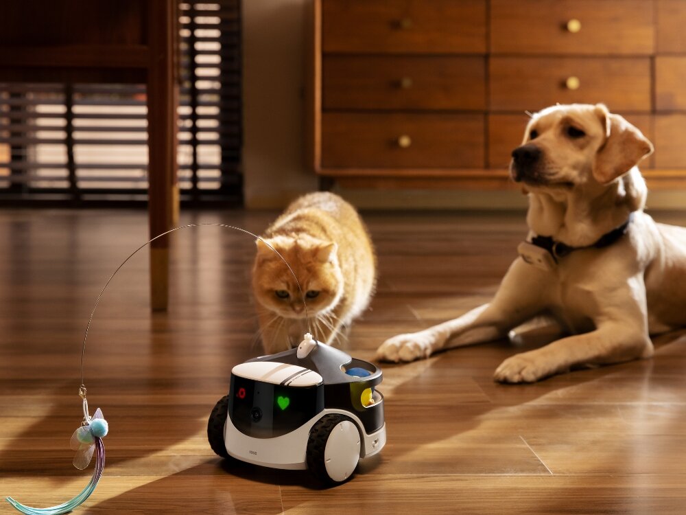 Moduł do zabawy Enabot ROLA PetPal
moduł zamontowany do robota zabawki aplikacja programowanie zwierzak zabawa