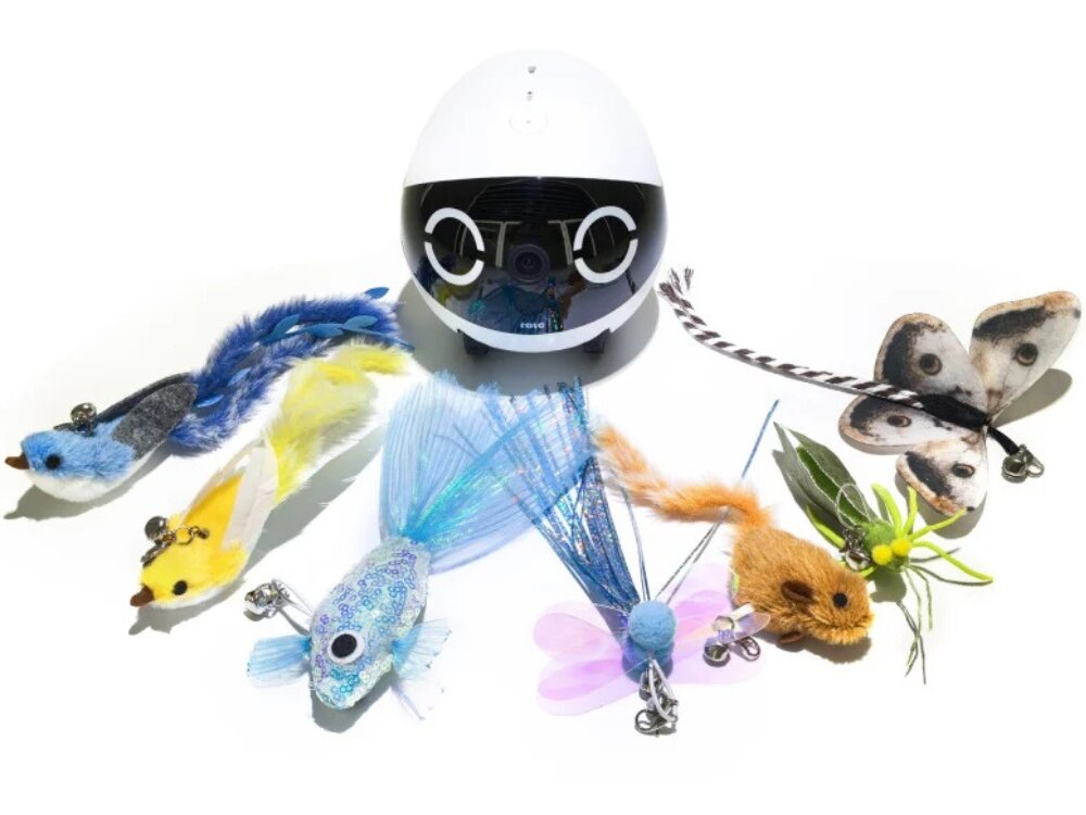 Końcówki do zabawki interaktywnej dla kota ENABOT
                zestaw końcówek na białym tle