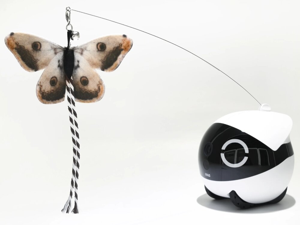 Końcówki do zabawki interaktywnej dla kota ENABOT
                końcówka zamontowana na robocie rola mini różne kształty kolory faktury uwaga pupila łatwe do wymiany