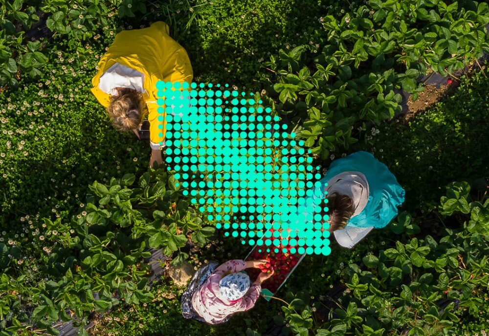 Monitor ASUS ZenScreen MB27ACF Widok z góry na trzy osoby pracujące w polu, na zdjęciu nałożona jest grafika w kształcie liścia z zielonych kropek, ekologia, środowisko, certyfikaty