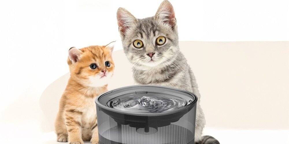 Fontanna dla zwierząt SPONGE SPETF1 kv początek opisu