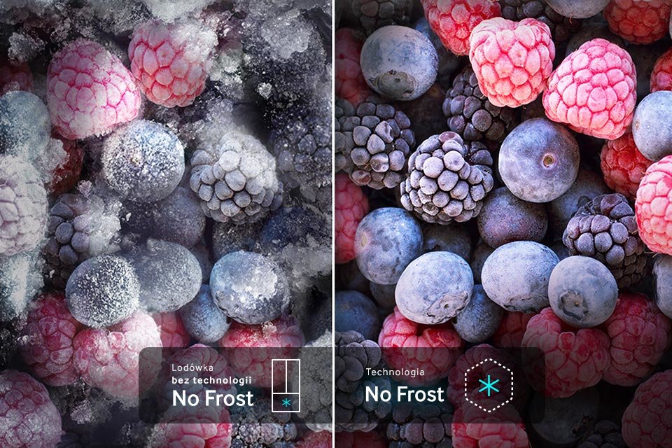 php1BPxzS no-frost-960x640px