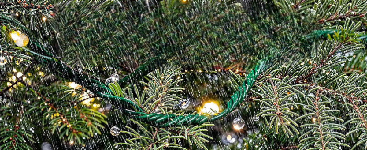 Na obrazie widoczne są gałęzie choinki z zamontowanymi lampkami LED, a na nich krople deszczu. Nałożony tekst informuje: \'Operating temperature: -20°C to 40°C\', \'IP65 waterproof\', \'The ip44 adapter cannot be immersed in water\'.