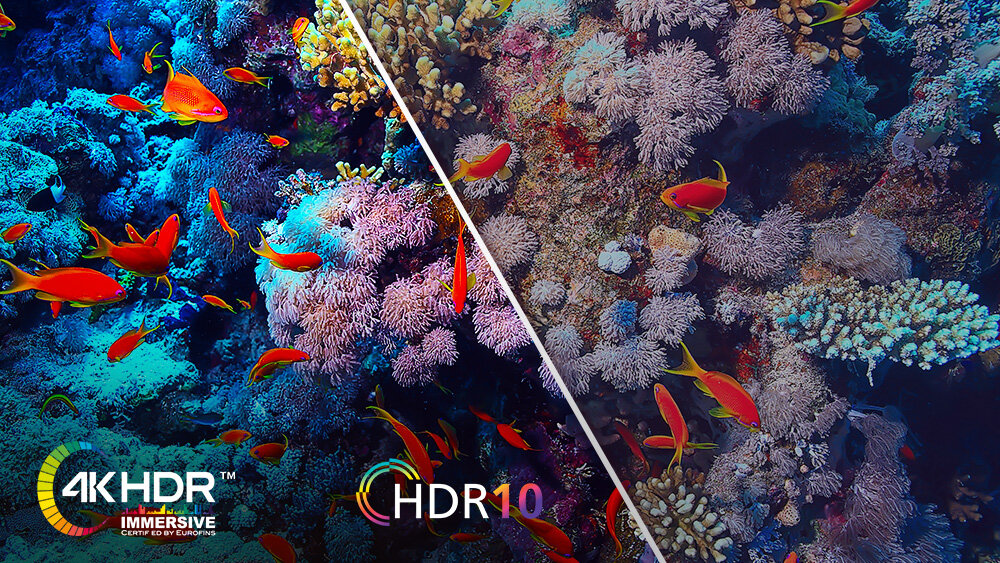 Telewizor JVC LT-43VD3500 - Ultra HD z systemem HDR10, telewizor wyświetlający obraz w technologii HDR