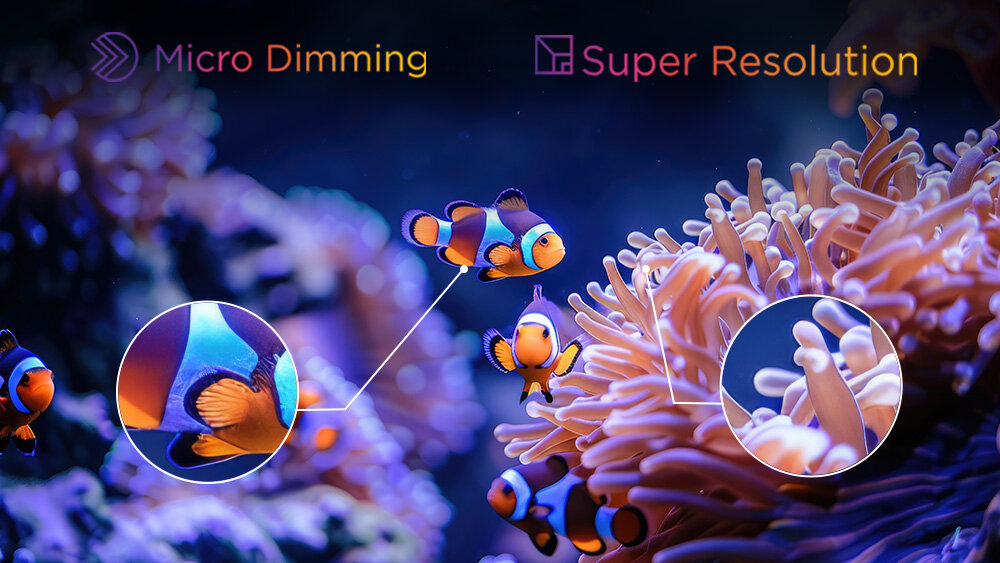 Telewizor JVC LT-50VDQ3500 - Skalowanie do Ultra HD, obraz pokazujący faune morską z rybami, obraz przedstawia technologię micro Dimming oraz super resolution