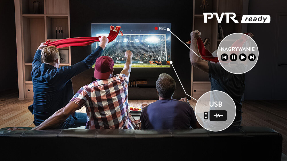 Telewizor JVC LT-55VDQ3500 - Nagrywanie na dyski USB, telewizor w salonie, ludzie ogładający mecz