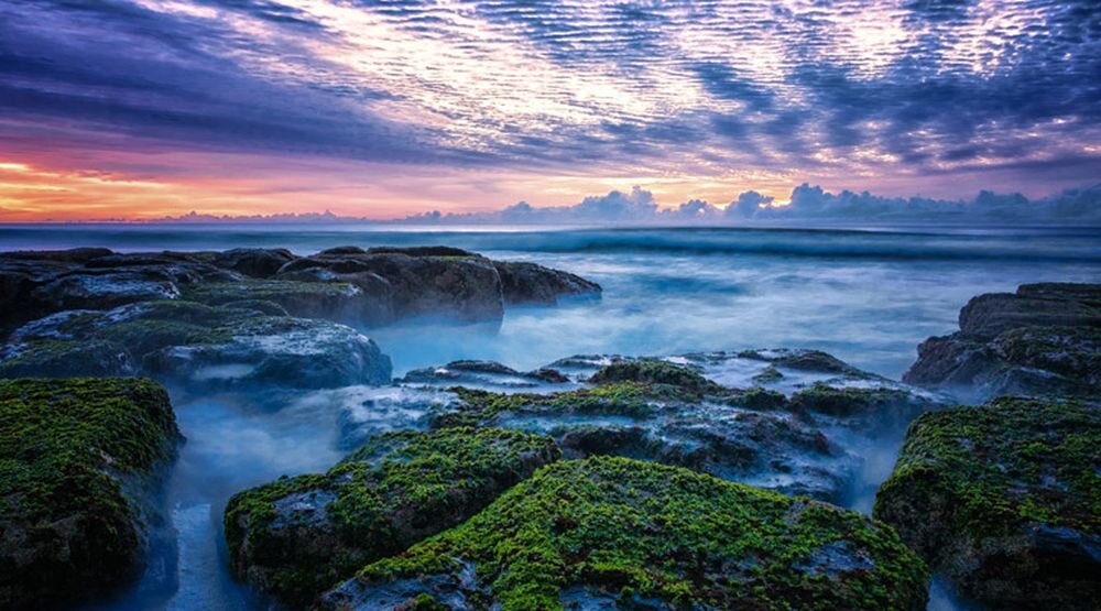 Obiektyw OLYMPUS M.Zuiko Digital ED 12 mm 1:2.0   ogniskowa przysłona ostrość pierścienie optyka soczewki powłoki montaż bagnet światło jasność zoom filtry waga