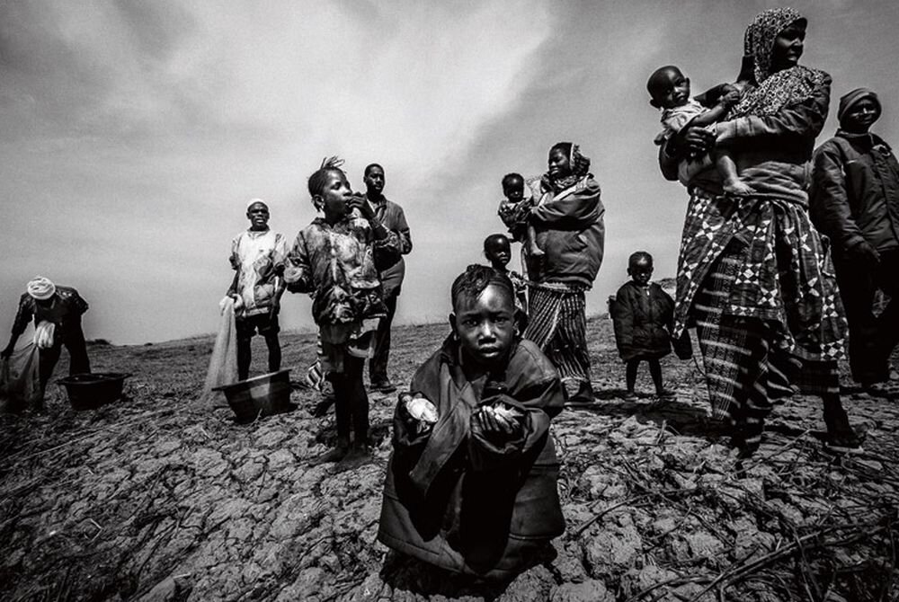 Obiektyw OLYMPUS M.Zuiko Digital ED 12 mm 1:2.0   ogniskowa przysłona ostrość pierścienie optyka soczewki powłoki montaż bagnet światło jasność zoom filtry waga