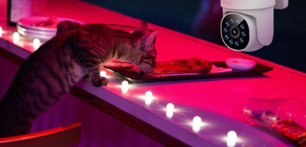 Kamera GEMBIRD TSL-ODCAM-WRHD-01 obraz 4 Mpix szeroki kąt 120 stopni, kamera po skosie, kot zbliżający się do jedzenia