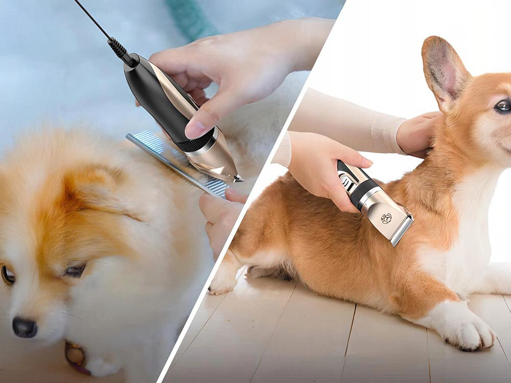 Maszynka do strzyżenia psów EXTRALINK Pets EX.25661 strzyżenie bez wysiłku Ostrza ceramiczno-tytanowe  na akumulatorze, jak i sieciowo