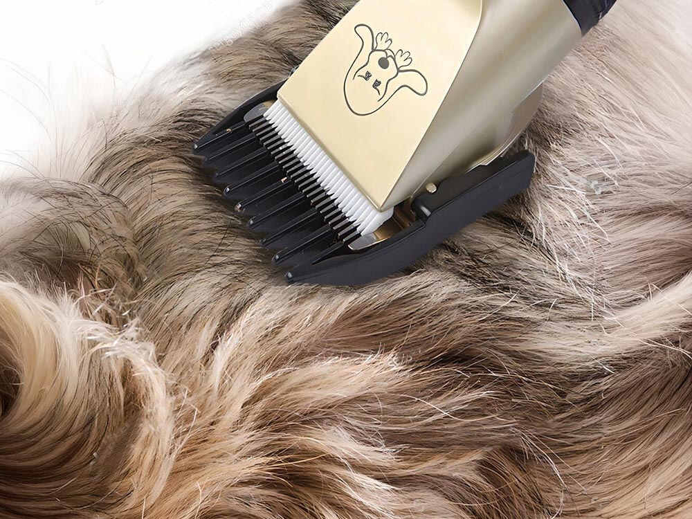 Maszynka do strzyżenia psów EXTRALINK Pets EX.25661 Cztery wymienne nasadki  długość zakres precyzja dopasowanie sprawdzi się zarówno u psów, jak i kotów różnych ras