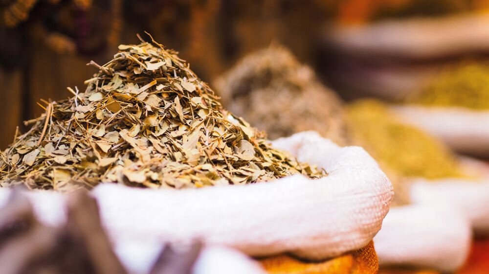 Obiektyw OLYMPUS M.Zuiko Digital 45 mm f-1.8  makro ogniskowa przysłona ostrość pierścienie optyka soczewki powłoki montaż bagnet światło jasność zoom filtry waga