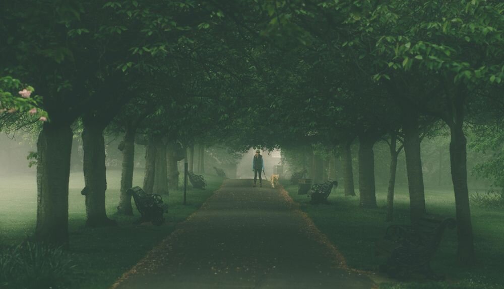 Obiektyw OLYMPUS M.Zuiko Digital 45 mm f-1.8  makro ogniskowa przysłona ostrość pierścienie optyka soczewki powłoki montaż bagnet światło jasność zoom filtry waga