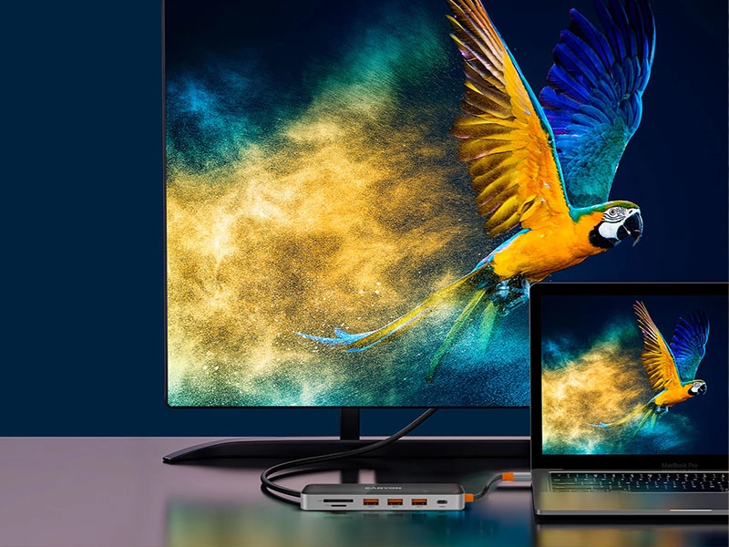 Na obrazie widać monitor i laptop, na których wyświetlany jest ten sam obraz kolorowej papugi w locie na tle żółto-niebieskiego pyłu. Przed laptopem znajduje się hub USB-C z kilkoma portami, podłączony do obu urządzeń.