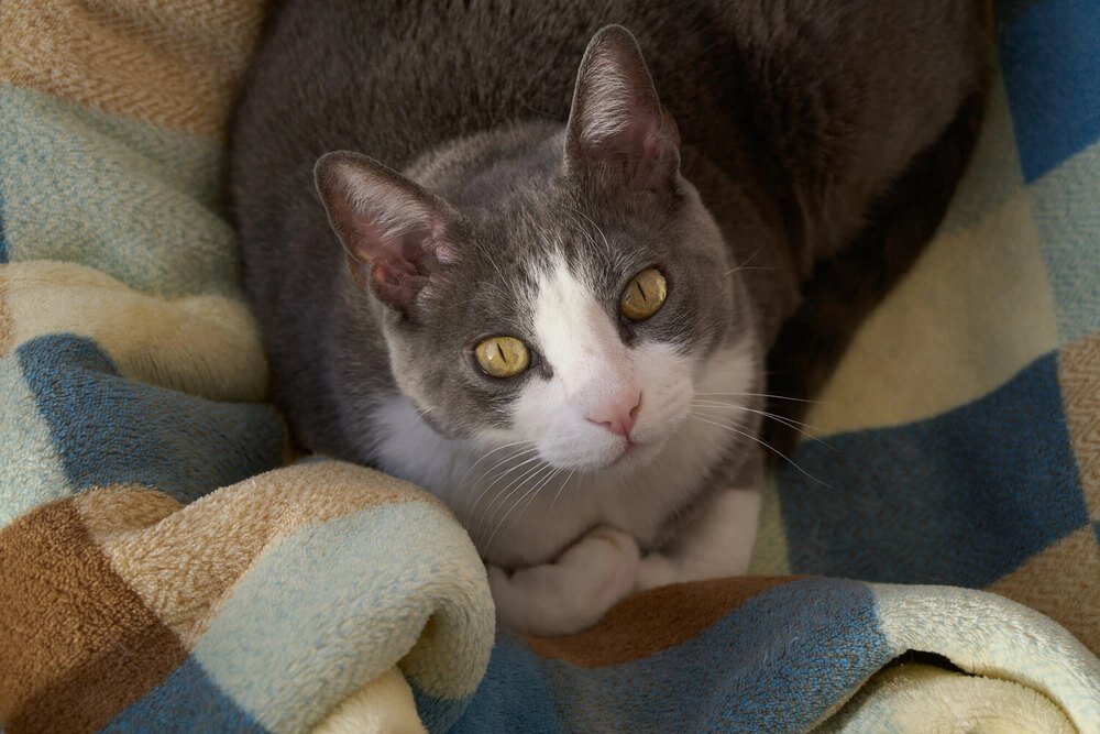 Obiektyw SIGMA 16-300 mm f-3.5-6.7 DC OS, odporna konstrukcja, uszczelnienia