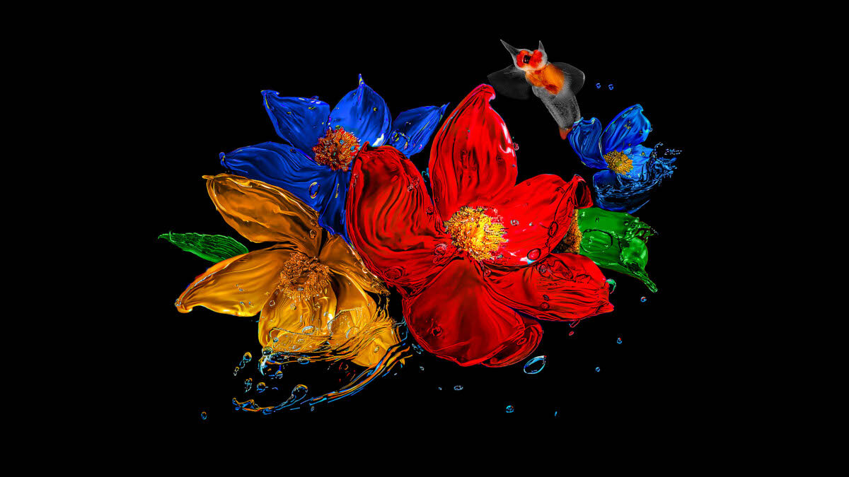 Telewizor TCL 115C7K - Naturalne i żywe kolory, kwiaty namalowane farbą