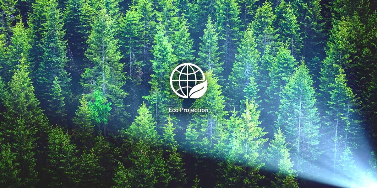 AOPEN QF16ATV technologia LED energooszczędna bezrtęciowa, logo eco projection, las świerkowy