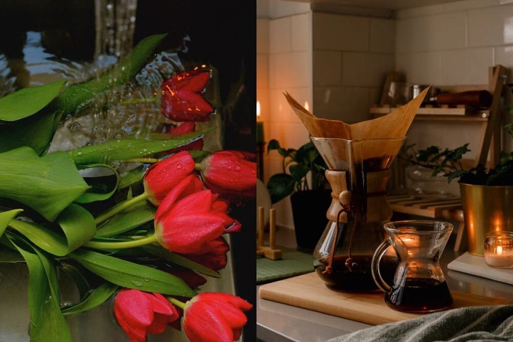 FUJIFILM X-T50 symulacje filmu kolory styl fotografia kreatywna