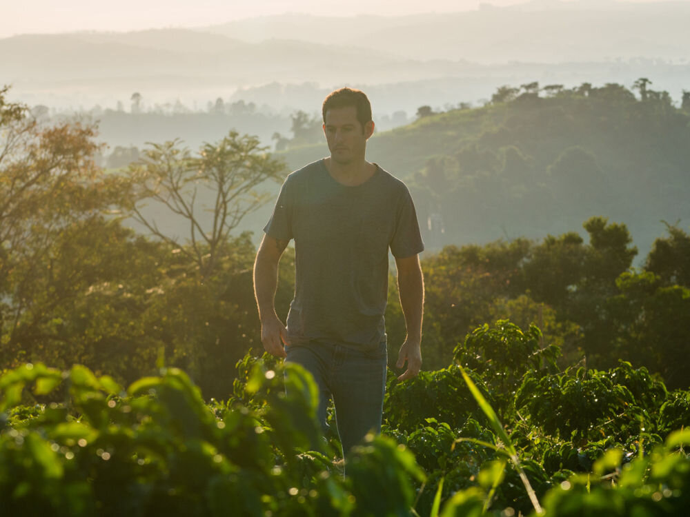 Kawa rozpuszczalna CABRAL CAFE Fazenda Ambiental Fortaleza 200 g (Rzemieślnicza) uprawa ekologiczna ochrona gleby siedliska