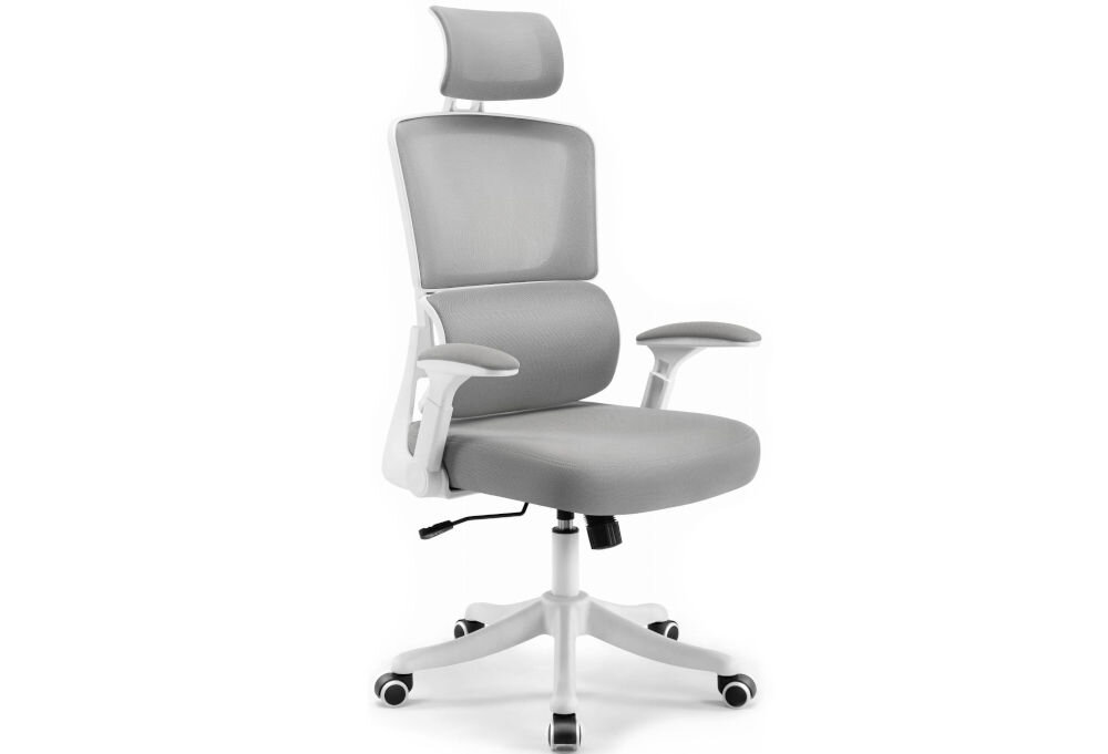 Fotel biurowy HELL'S CHAIR HC-1011 Szary prezentacja fotela od przodu pod kątem na jasnym tle dopracowany design komfort elegancka forma