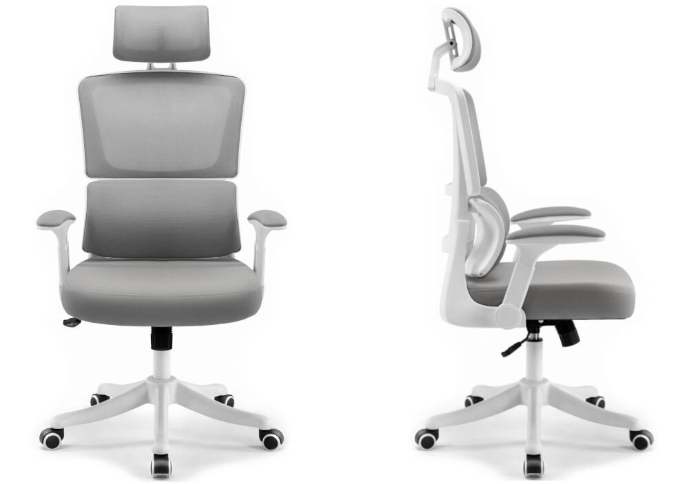Fotel biurowy HELL'S CHAIR HC-1011 Szary prezentacja fotela od boku i przodu na białym tle wymiary stabilność