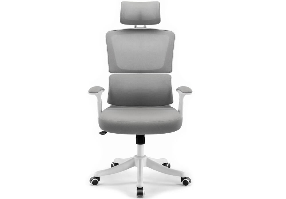 Fotel biurowy HELL'S CHAIR HC-1011 Szary prezentacja fotela od przodu na jasnym tle solidna konstrukcja wypełnienie z termo-elastycznej pianki Free Air zimnej pianki CF sprzyja utrzymaniu prawidłowej postawy