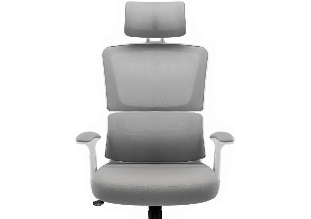 Fotel biurowy HELL'S CHAIR HC-1011 Szary prezentacja fotela od przodu na jasnym tle wyprofilowany kształt oparcia zapobieganie dolegliwościom bólowym kręgosłupa utrzymanie prawidłowej postawy komfort