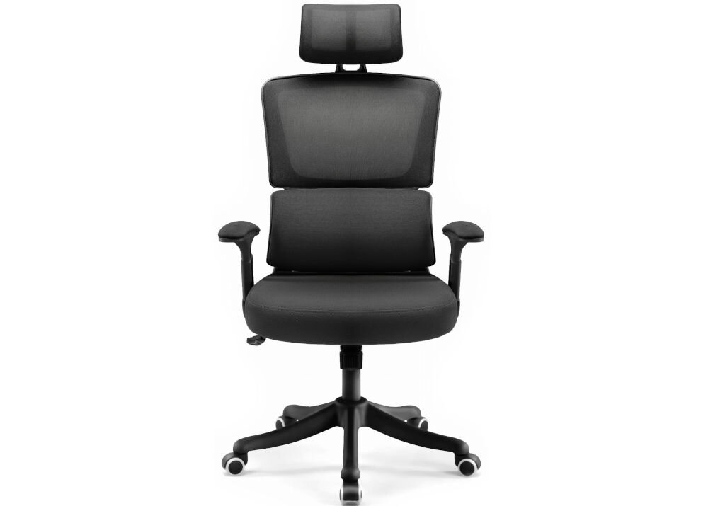 Fotel biurowy HELL'S CHAIR HC-1011 Czarny prezentacja fotela od przodu na jasnym tle solidna konstrukcja wypełnienie z termo-elastycznej pianki Free Air zimnej pianki CF sprzyja utrzymaniu prawidłowej postawy