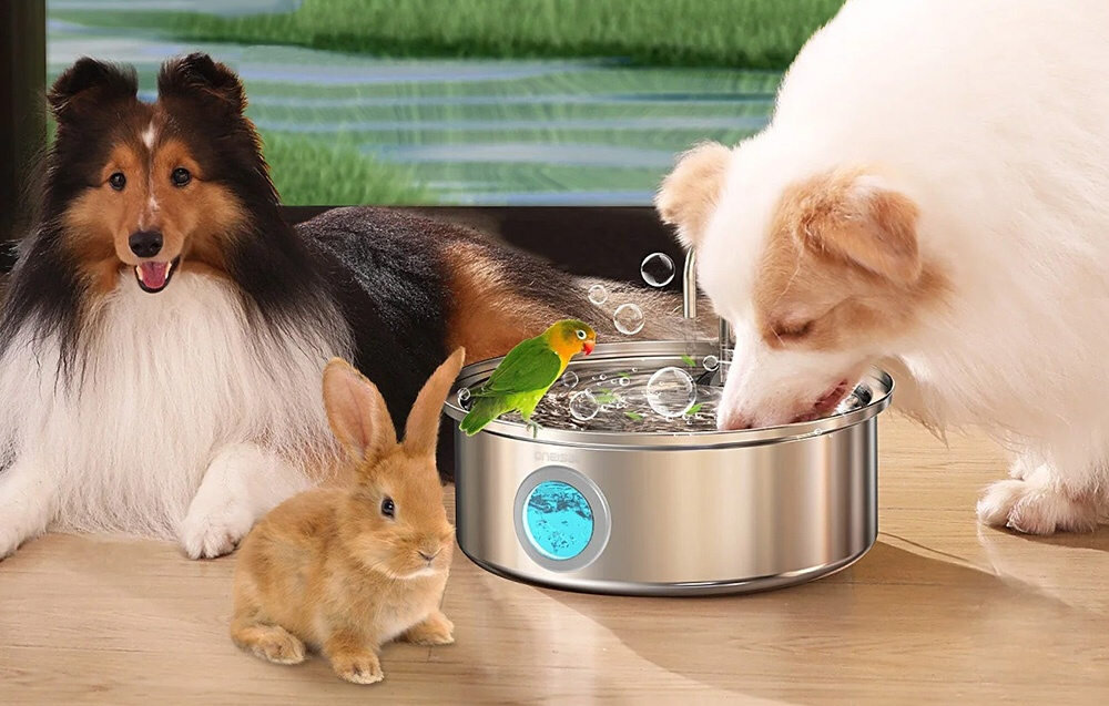 Fontanna dla zwierząt ONEISALL PWF-002 wygląd design prezentacja wizualizacja Zdrowe nawodnienie