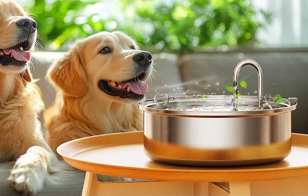 Fontanna dla zwierząt ONEISALL PWF-002 Niskie zużycie energii wyłączy się samodzielnie dbając o jej długą żywotność