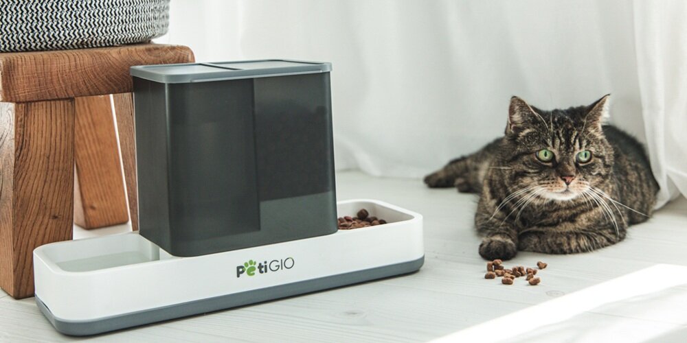 Dozownik na wodę i karmę 2w1 dla zwierząt