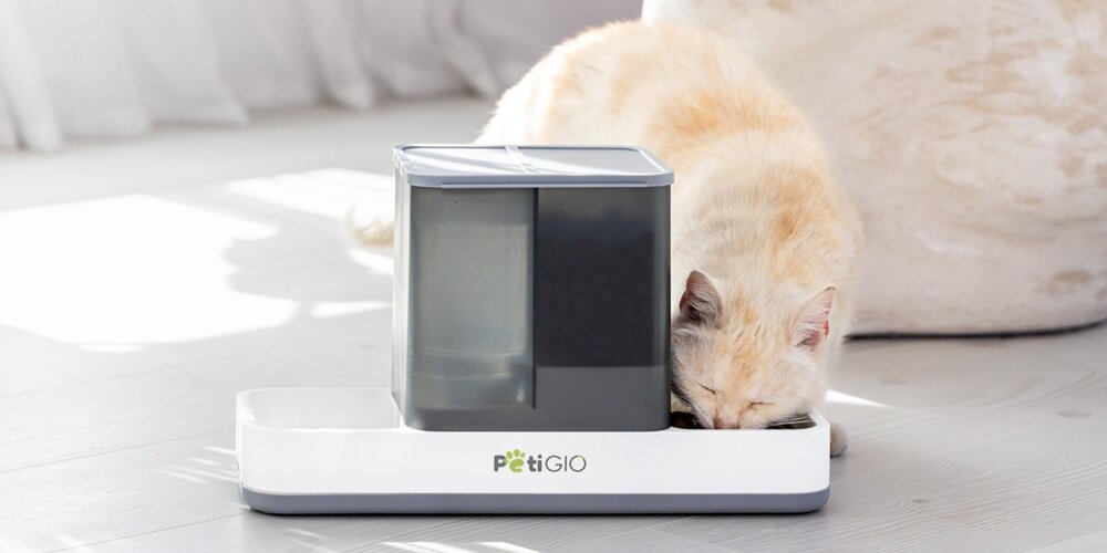 Dozownik na wodę i karmę 2w1 dla zwierząt